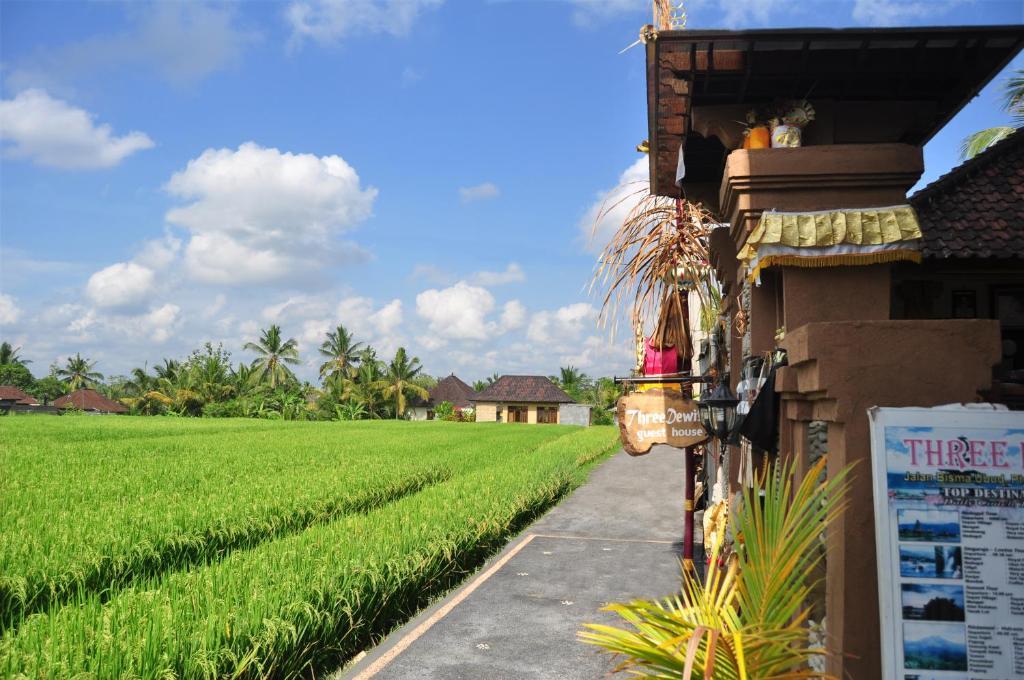 Three Dewi'S Guest House أوبود المظهر الخارجي الصورة